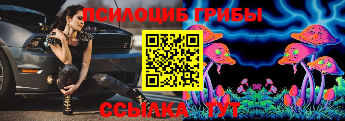 Сергиев Посад  Псилоцибиновые грибы ЛСД  что такое наркотик  Галлюциногенные грибы ЛСД  Вход с VPN 